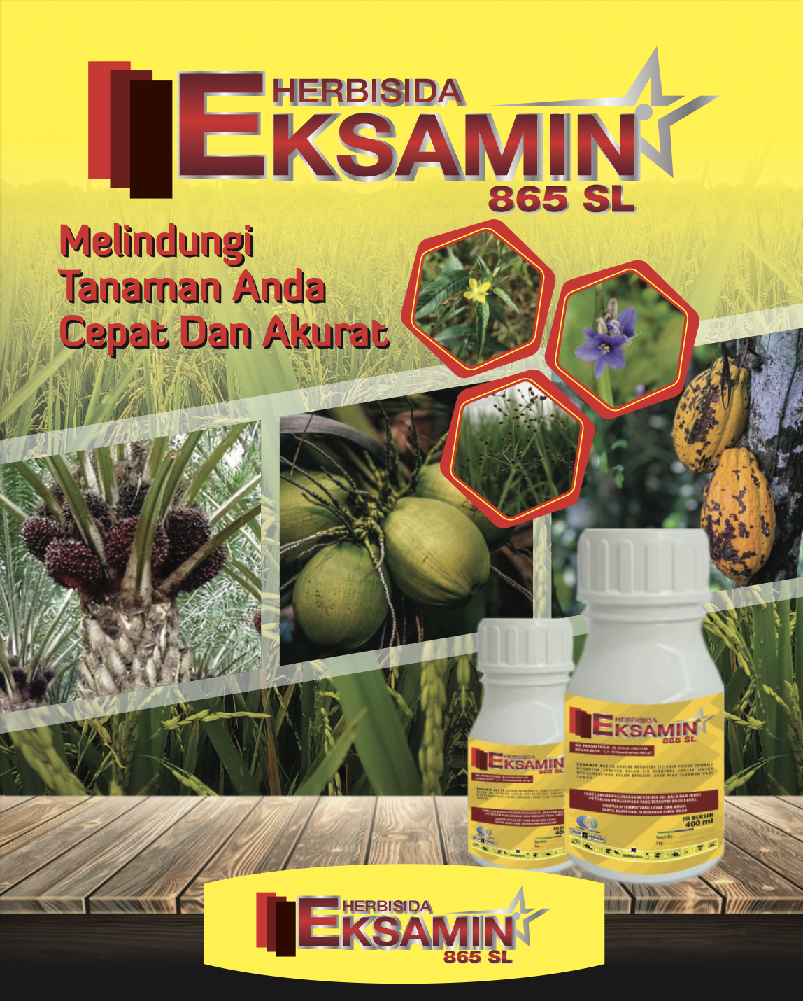 Ekasala Alfaindo content